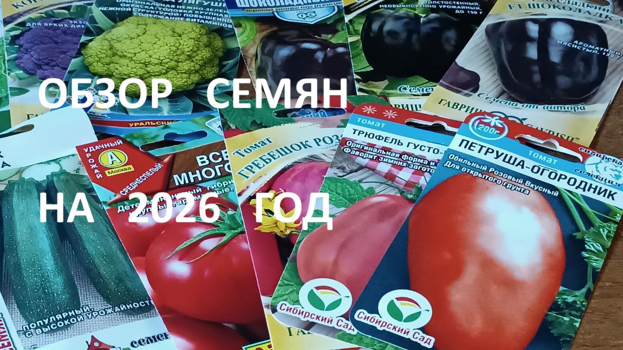 Обзор новых семян овощей на 2026 год