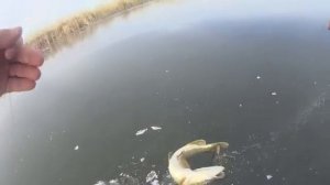 Я ЗАБРАЛСЯ В ЛОГОВО ЩУКИ!!ПЕРВЫЙ ЛЁД! РЫБАЛКА на ЩУКУ!