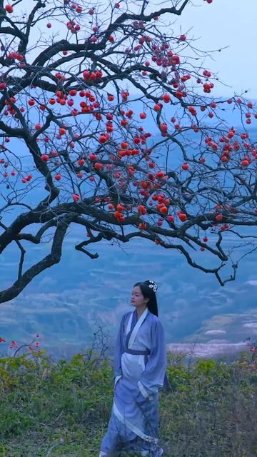 Хурма @SJSX0521