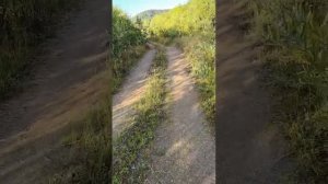 природа дорга