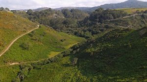 Александр Пушкин. Песнь о вещем Олеге. Песня на стихи