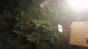 БТГ Василий И. больше и не надо