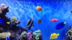 АКВАРИУМ  - Антистрессовая музыка, Релаксация и Медитация.