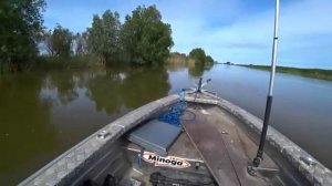 РЫБАЛКА УШЛА В МИНУС 70 ТЫСЯЧ. НЕРЕСТОВЫЙ ЗАПРЕТ