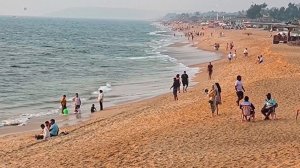 Индия с Владимиром Снегиревым и Александром Гасюком: Гоа и Бангалор