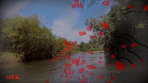 ТАК ХОЧЕТСЯ РОДНЫЕ ВАМ СКАЗАТЬ ст Л Чугунова муз исп В Бекк автор ролика Кондратьева О.Р. (1)