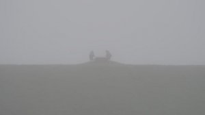 Рекультивация продолжается