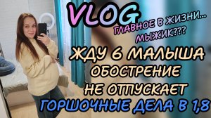 Жду 6 малыша 💙 горшочные дела в 1,8... Обострение хейта