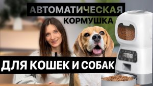 Автоматическая кормушка для кошек и собак