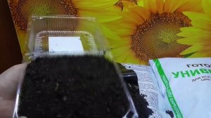 Не бойтесь покупать "ПОДОЗРИТЕЛЬНО ДЕШЕВЫЙ" грунт в больших мешках! Он может оказаться ХОРОШИМ!