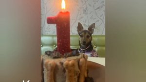 03-12-2025 ДР Киары!