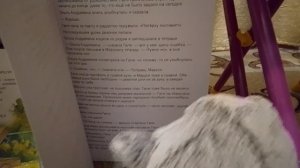 🎉как Милка и Басик научились читать!🎉