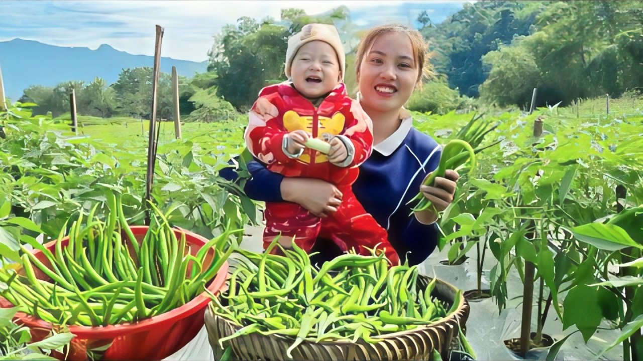 Дуонг. Мама поневоле. Собираю сладкий перец для продажи. Полив растений. 11 серия