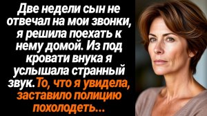 Жизненные Истории/Две недели сын не отвечал на мои звонки, я решила поехать к  нему домой, а там...