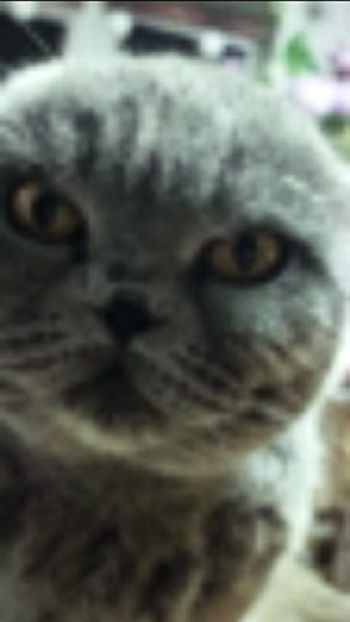 Соления практичность и красота