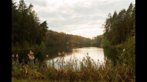 Лесное озеро  (рассказ)