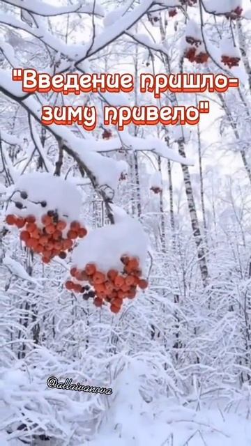 Все о празднике Введения во храм Пресвятой Богородицы:традиции,обычаи. Музыкальная открытка.