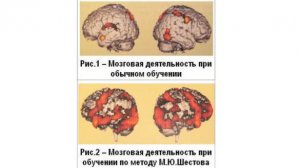 М. Шестов Можно сохранить острый ум и отличную память: голос – дорога к мозгу