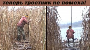 Рыбалка 2 декабря и строительство настила против тростника! Тростник теперь друг рыбака!