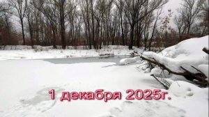 ВИДЕООТЧЕТ от 1 декабря 2025г.