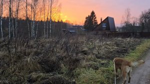 Ранняя прогулка, новое знакомство и прощальная улыбка ноября