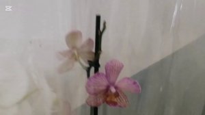 Магазин ОМА. Много акций. /Беларусь Svetlana /