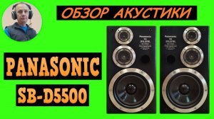 Обзор акустической системы PANASONIC SB-D5500