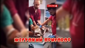 Жестокий приговор #смешныекоты #поржать