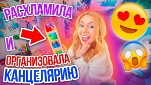 РАСХЛАМИЛА И Организовала ВСЮ КАНЦЕЛЯРИЮ ОРГАНИЗАЦИЮ Рабочего Стола!