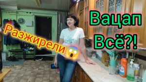 НАКОСЯЧИЛИ 🫣/Что случилось на ДОРОГЕ/Вацап ВСЁ?!/Пить СТАТИНЫ или НЕТ/Разжирели.