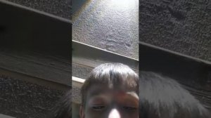 ИГРАЮ В УКРОДИ СПРАНКИ КУПИЛ Секретного Sprunki Steal the Sprunki