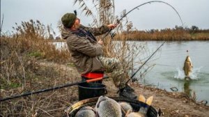 ОГРОМНЫЕ КАРАСИ ГНУТ СПИННИНГ! Ловлю по ДВА ЗА РАЗ на ПРОСТУЮ СНАСТЬ!