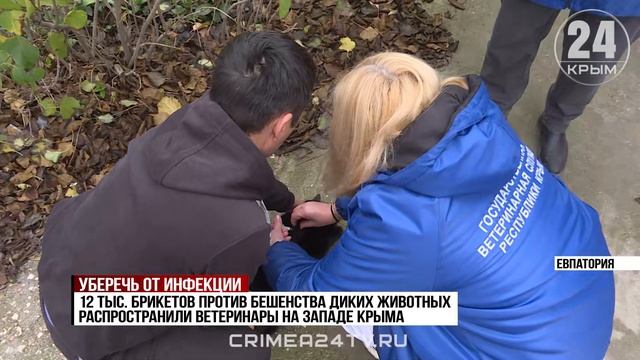 12 тысяч препаратов против бешенства диких животных распространили на западе Крыма в этом году