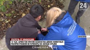 12 тысяч препаратов против бешенства диких животных распространили на западе Крыма в этом году