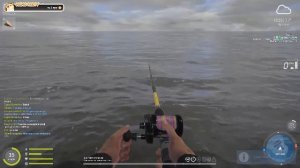 Русская рыбалка 4🎣🎏🦈ВСЕМ ПРИВЕТ И УДАЧНОГО КЛЁВА!!!!!!!!!!!