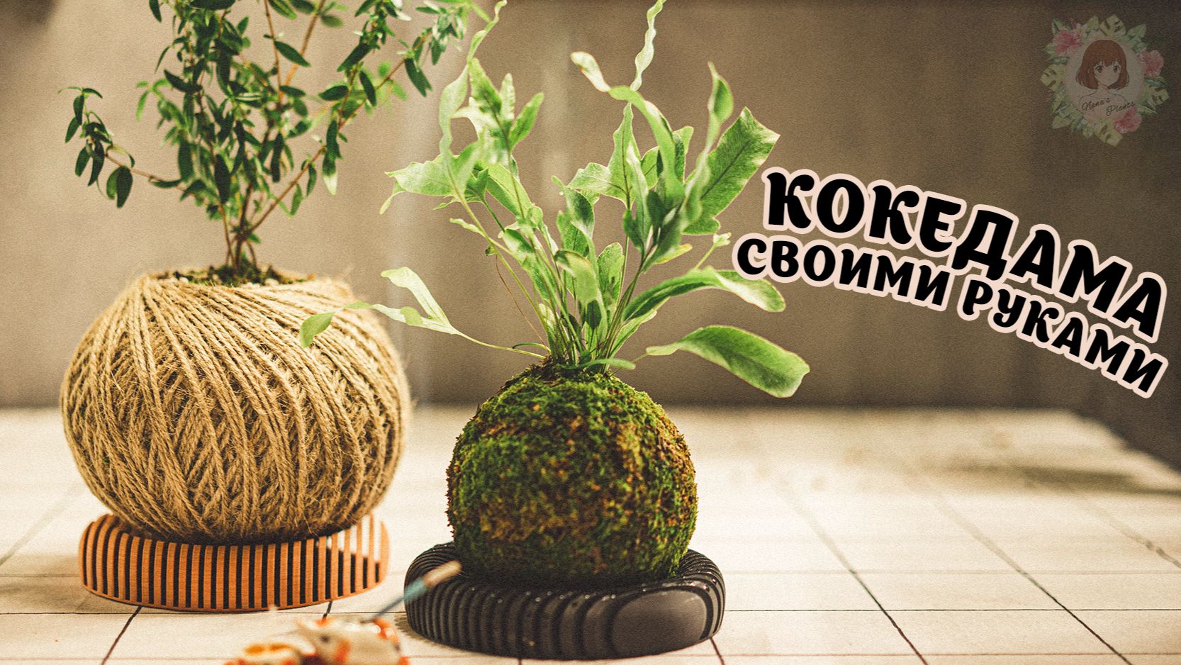 КОКЕДАМА: ОТ ДРЕВНЕГО ИСКУССТВА К СОВРЕМЕННОМУ ДЕКОРУ #кокедама #kokedama #растения #декор #хендмейд