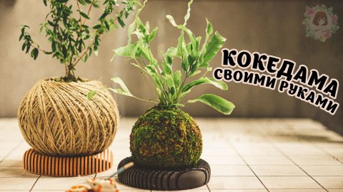 КОКЕДАМА: ОТ ДРЕВНЕГО ИСКУССТВА К СОВРЕМЕННОМУ ДЕКОРУ #кокедама #kokedama #растения #декор #хендмейд