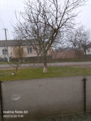 привет это я Карина