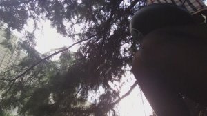 Глюкофон мини инсомния си минор, Космоскай. Перезвон.❤ 20251123_154023_094740.mp4