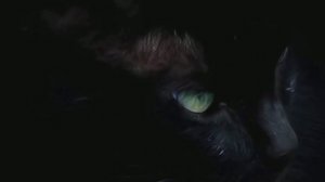 Таинственные и Необычные Галактики.