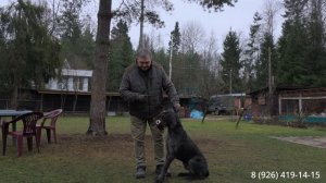 Апортировка. Исправление ошибок