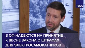 В СФ надеются на принятие к весне закона о штрафах для электросамокатчиков