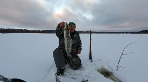 Рыбалка на налима / Сегодня я не плохо отловился / Черная дыра порадовала рыбой / Не бонус а приятно