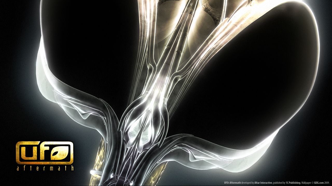 UFO Aftermath 2 серия