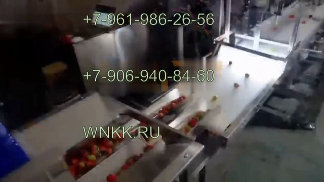 Полностью автоматическая машина для удаления листьев от ягод клубники W12SD (с 2 роботами) смотреть онлайн