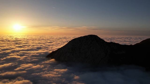 с Праздником Введения во храм Пресвятой Богородицы! смотреть онлайн