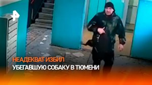 Неадекват избил и испинал собаку за "плохое поведение" в Тюмени