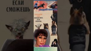 Жизненно не пожизненно