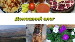 Продуктовые покупки Что напекла и наготовила