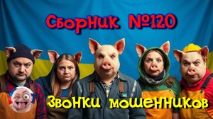 Сборник №120